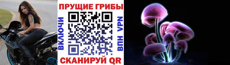 дарк нет наркотические препараты  МЕГА ССЫЛКА  Вологда  Галлюциногенные грибы мицелий 