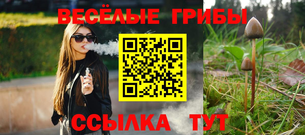 как найти закладки  Вход с VPN  Вологда  Галлюциногенные грибы MAGIC MUSHROOMS 