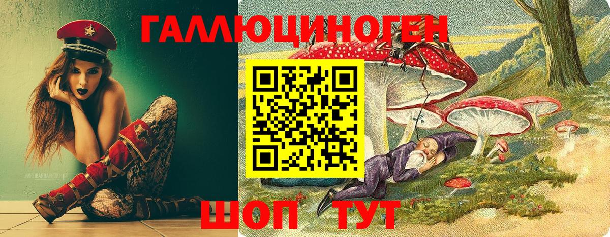 Галлюциногенные грибы прущие грибы Вологда